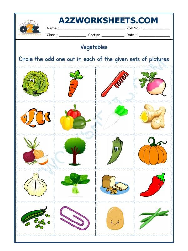 A2ZWorksheets:General Awareness-Logical Reasoning-Odd One Out-07