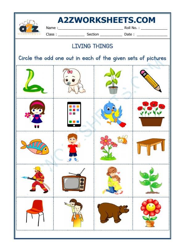 A2ZWorksheets:General Awareness-Logical Reasoning-Odd One Out-08