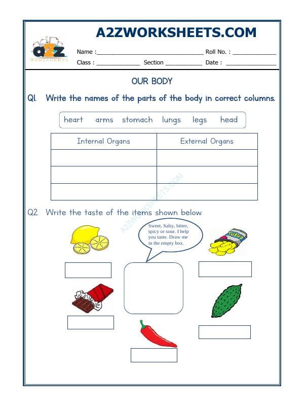 A2ZWorksheets:Science-Humans-Our Body-01