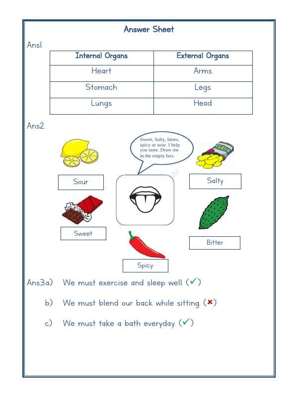 A2ZWorksheets:Science-Humans-Our Body-01