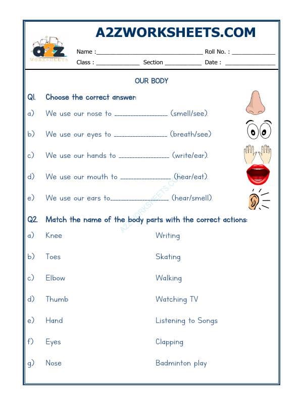 A2ZWorksheets:Science-Humans-Our Body-02
