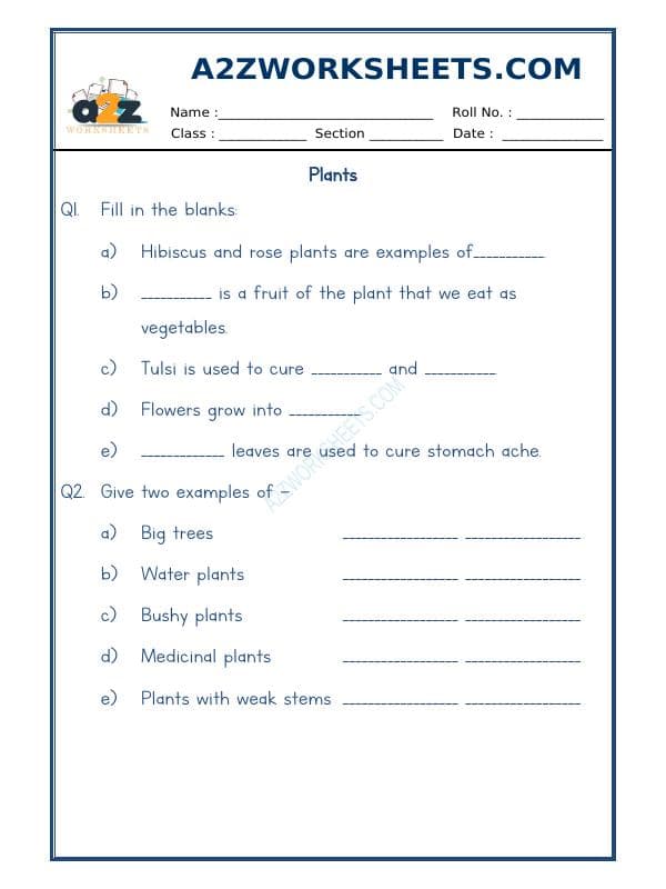 A2ZWorksheets:Science-Plants and Living Organisms-Plants-01