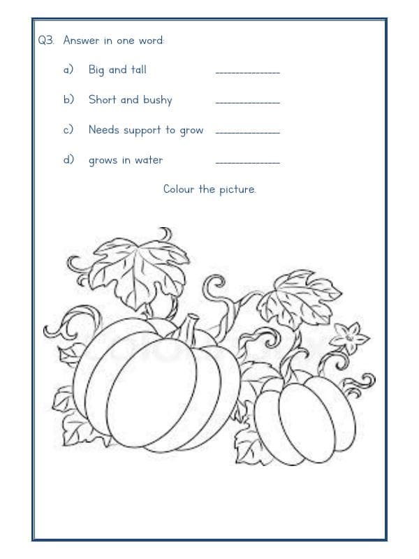 A2ZWorksheets:Science-Plants and Living Organisms-Plants-01