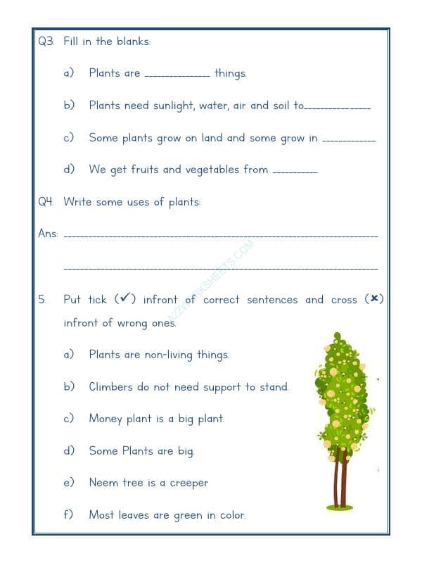 A2ZWorksheets:Science-Plants and Living Organisms-Plants-02
