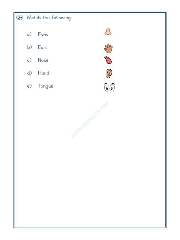 A2ZWorksheets:Science-Humans-Our Body-01