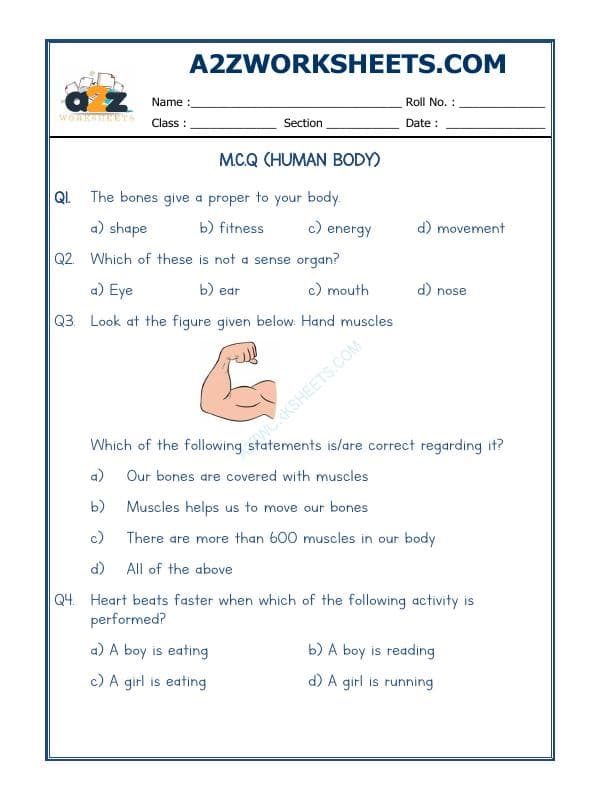A2ZWorksheets:Science-Humans-Our Body-03