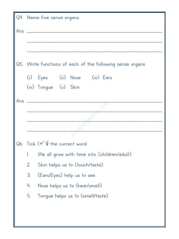 A2ZWorksheets:Science-Humans-Human Body-01