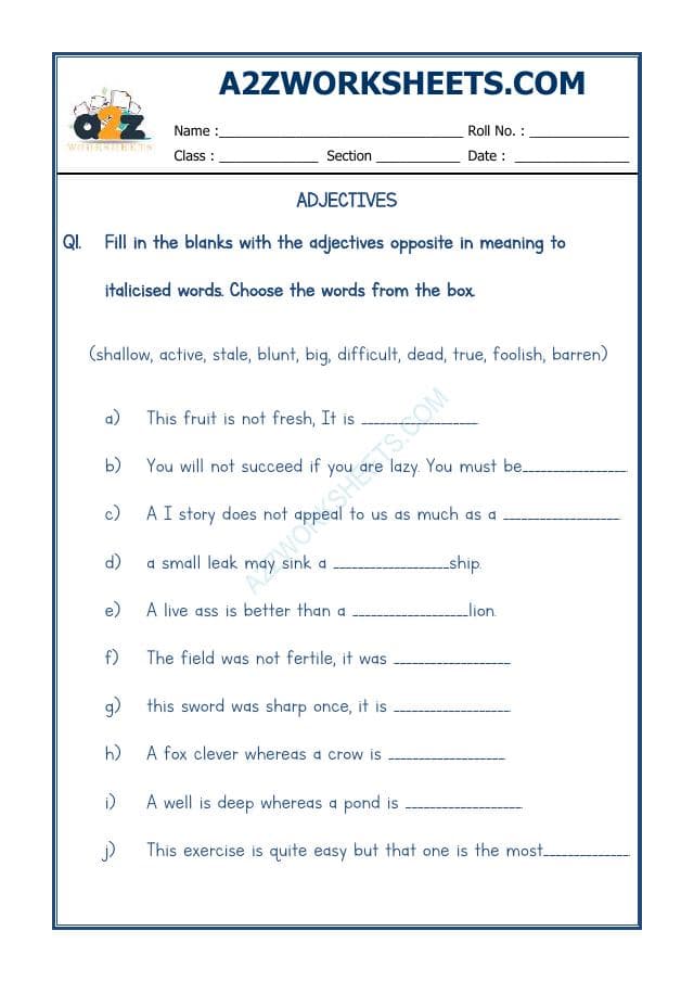 English Adjectives Worksheet-04