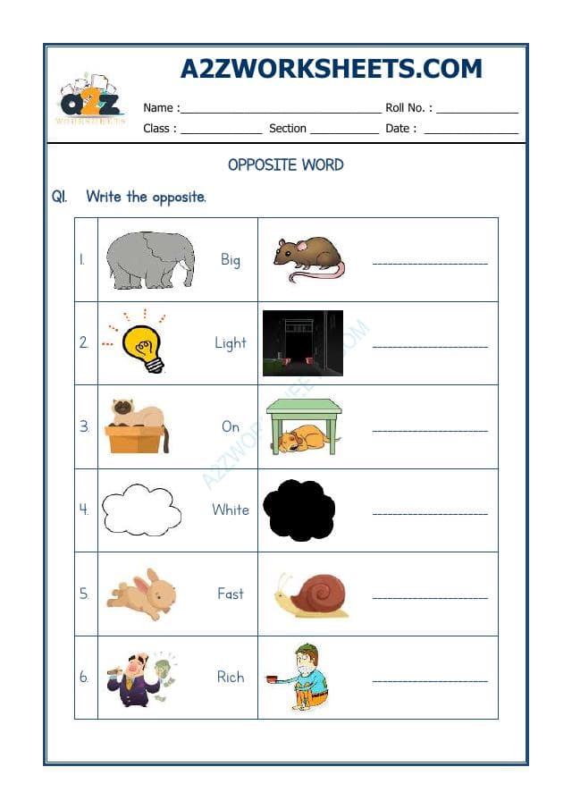 Opposite Word-02
