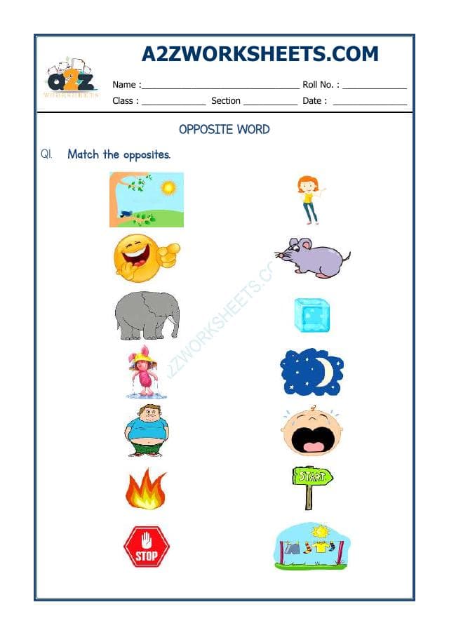 A2ZWorksheets:English-Grammar-Opposite Word-06