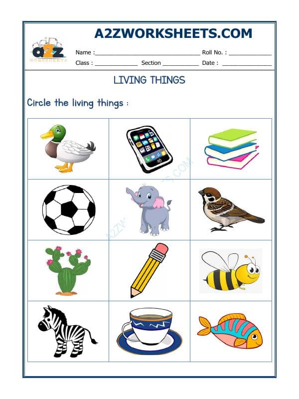 A2ZWorksheets:Science-Plants and Living Organisms-Living Things-01