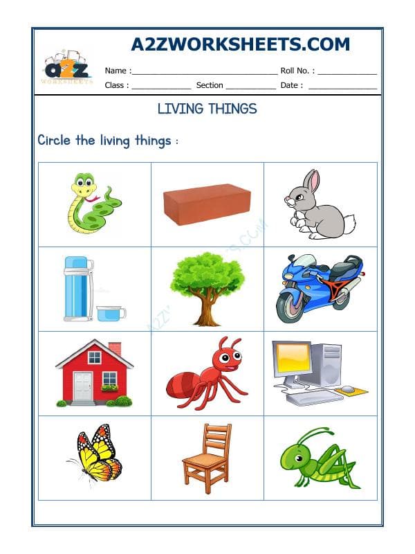 A2ZWorksheets:Science-Plants and Living Organisms-Living Things-02