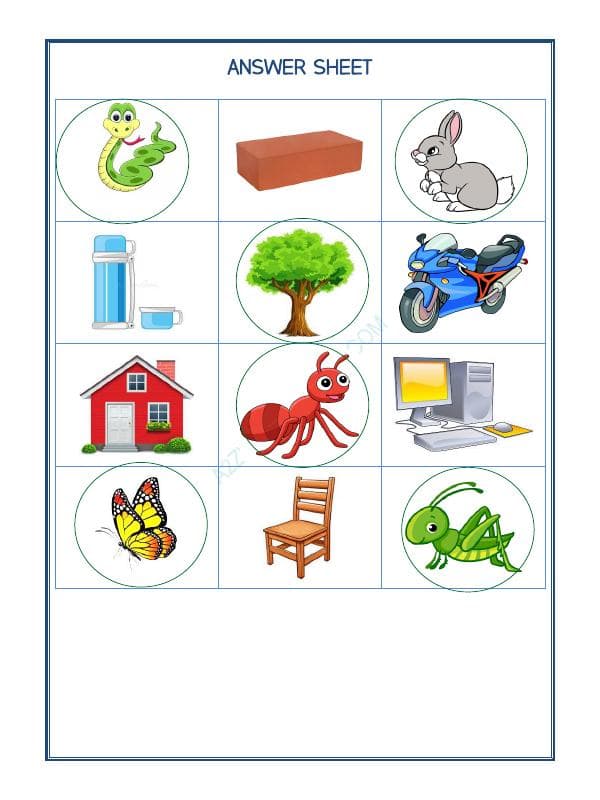 A2ZWorksheets:Science-Plants and Living Organisms-Living Things-02