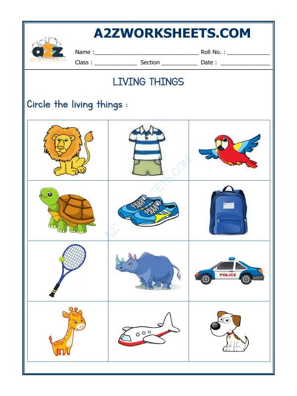 A2ZWorksheets:Science-Plants and Living Organisms-Living Things-03