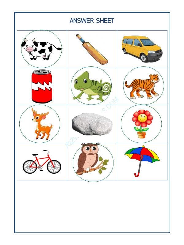 A2ZWorksheets:Science-Plants and Living Organisms-Living Things-04