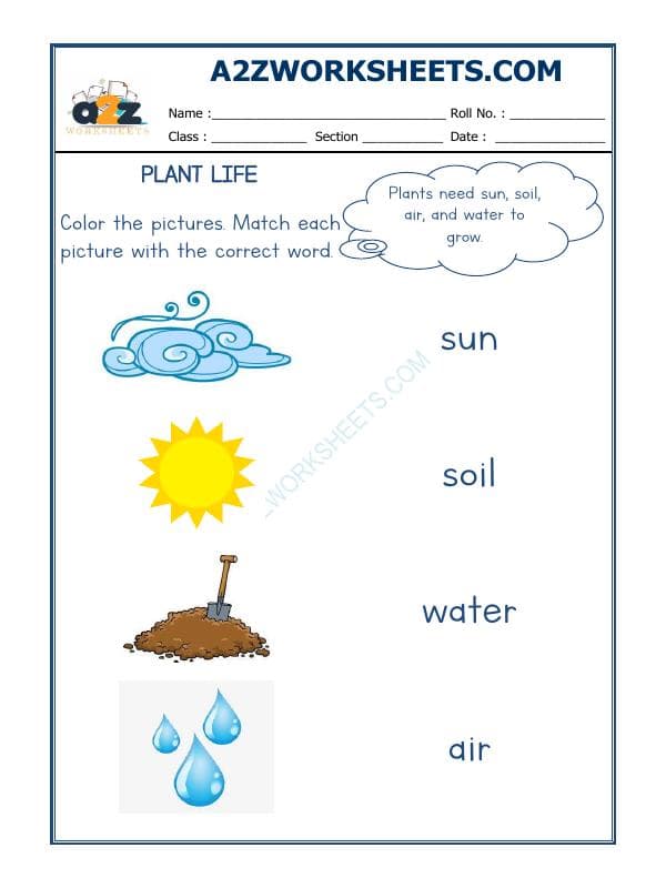 A2ZWorksheets:Science-Plants and Living Organisms-Plants Life-01