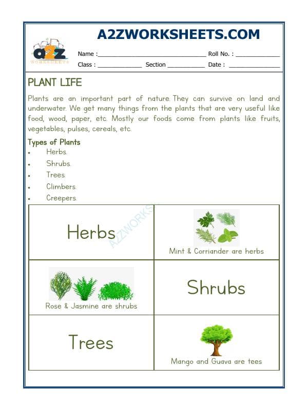 A2ZWorksheets:Science-Plants and Living Organisms-Plants Life-02
