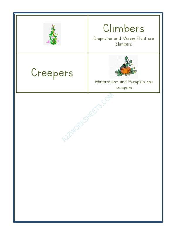 A2ZWorksheets:Science-Plants and Living Organisms-Plants Life-02