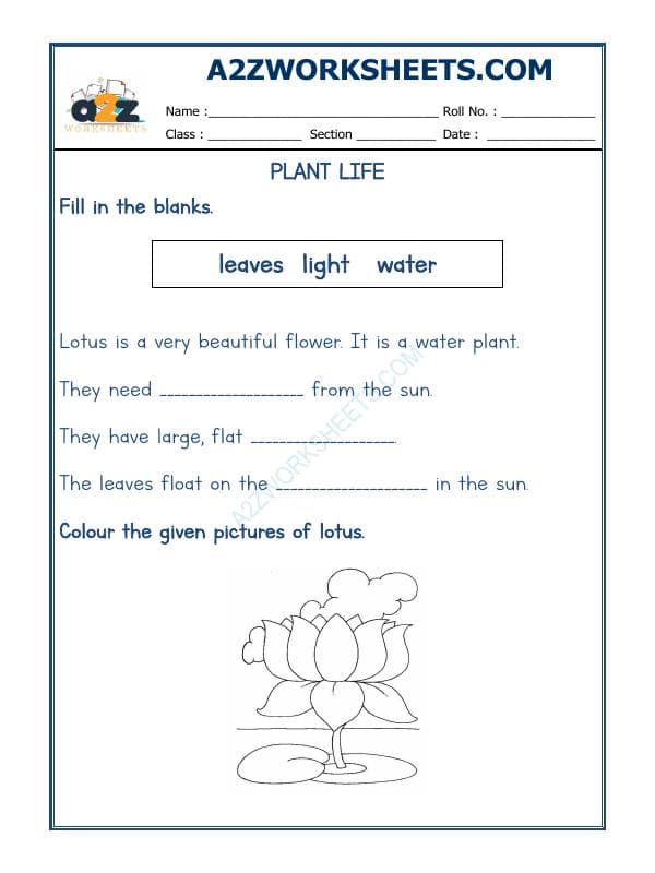 A2ZWorksheets:Science-Plants and Living Organisms-Plants Life-04