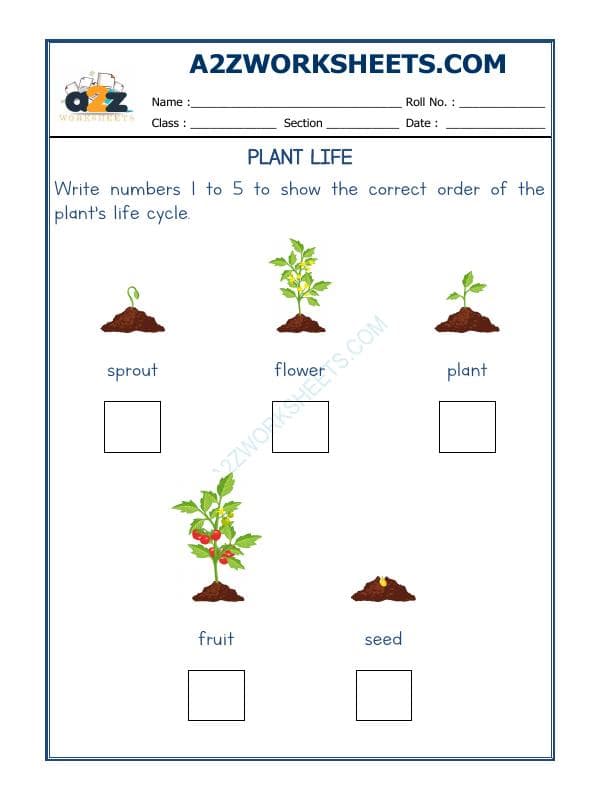 A2ZWorksheets:Science-Plants and Living Organisms-Plants Life-05
