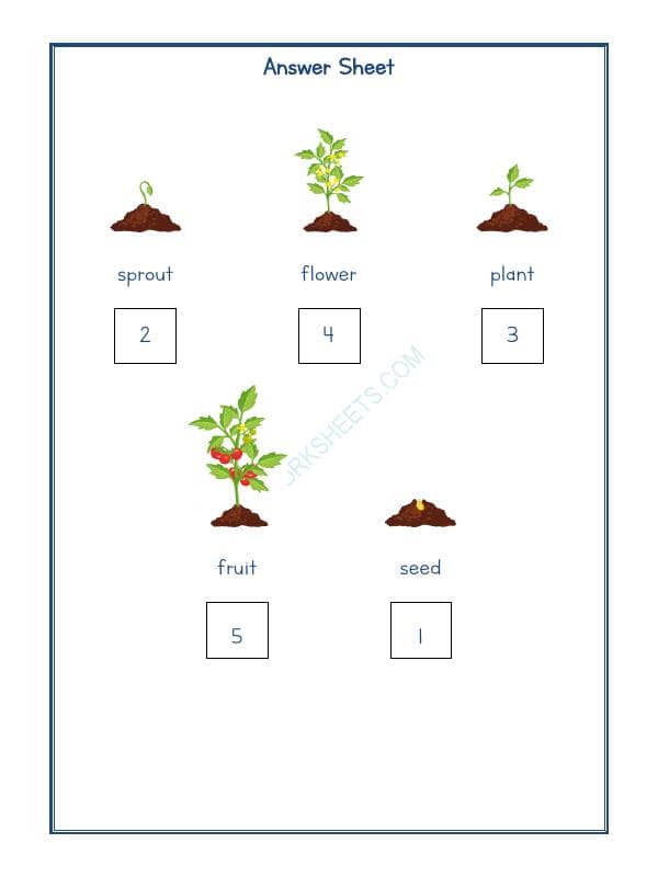 A2ZWorksheets:Science-Plants and Living Organisms-Plants Life-05