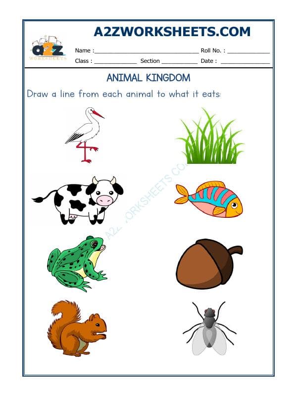 Animals Kingdom-01