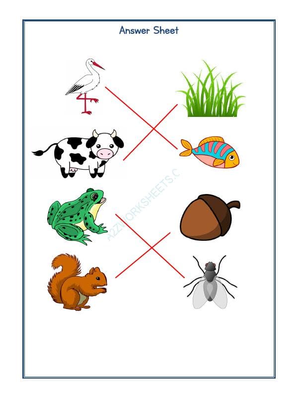 A2ZWorksheets:Science-Animals-Animals Kingdom-01
