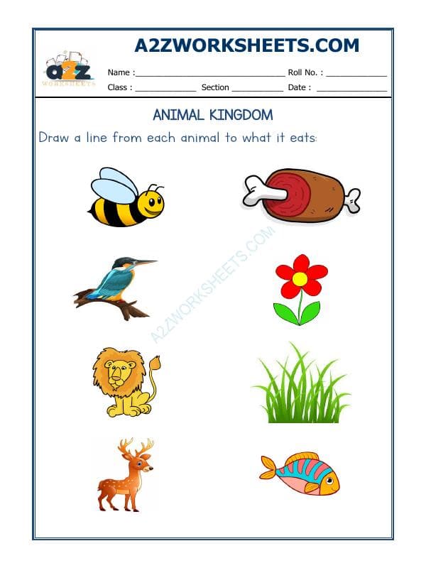Animals Kingdom-02