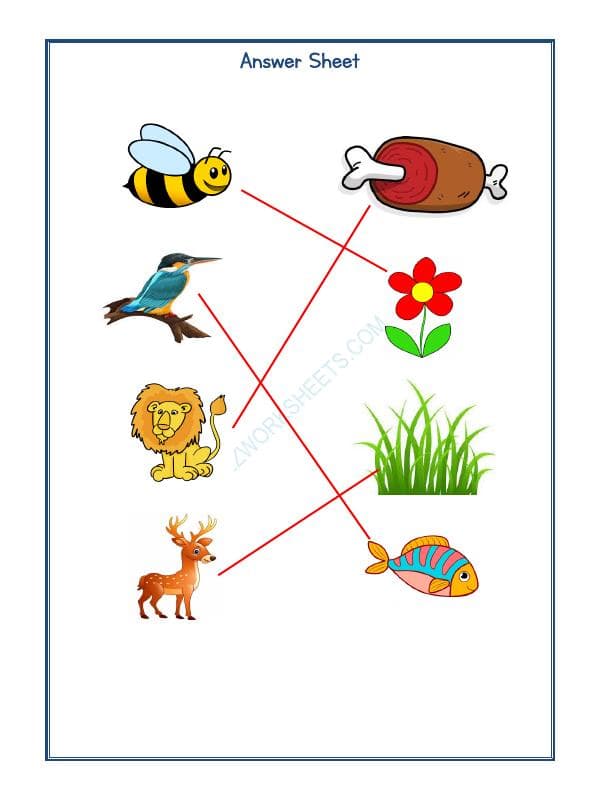 A2ZWorksheets:Science-Animals-Animals Kingdom-02