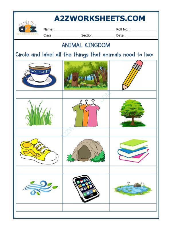 Animals Kingdom-03