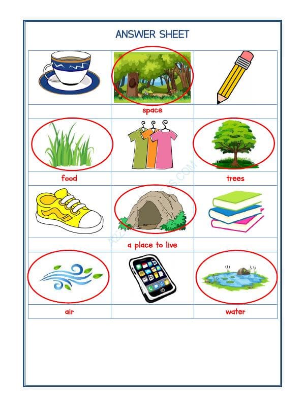 A2ZWorksheets:Science-Animals-Animals Kingdom-03