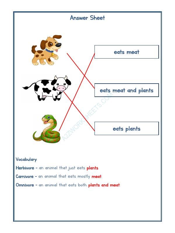 A2ZWorksheets:Science-Animals-Animals Kingdom-04