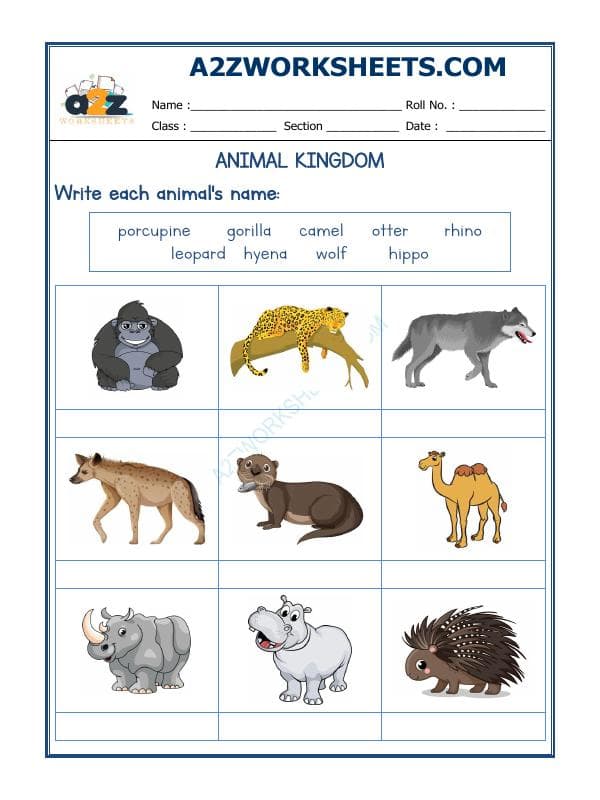 Animals Kingdom-06