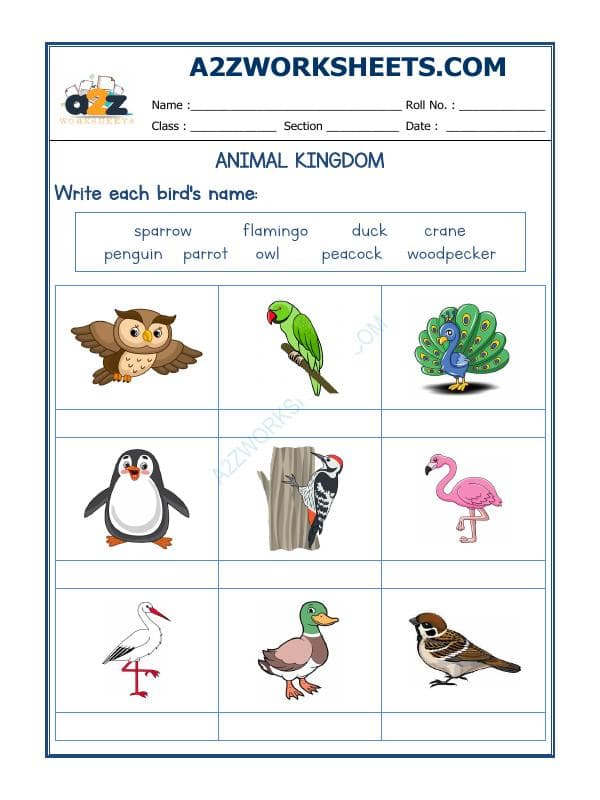 A2ZWorksheets:Science-Animals-Animals Kingdom-07