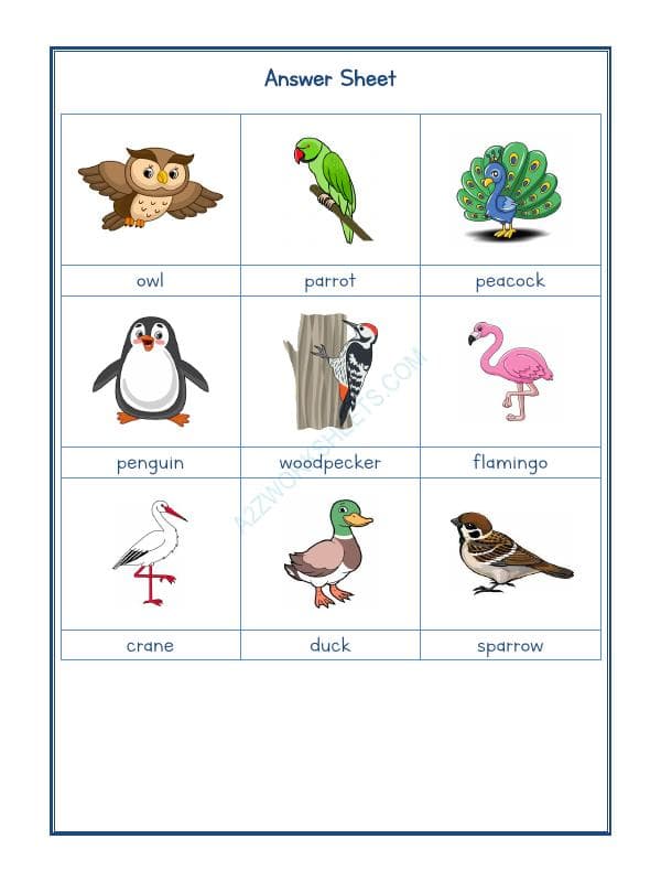 A2ZWorksheets:Science-Animals-Animals Kingdom-07