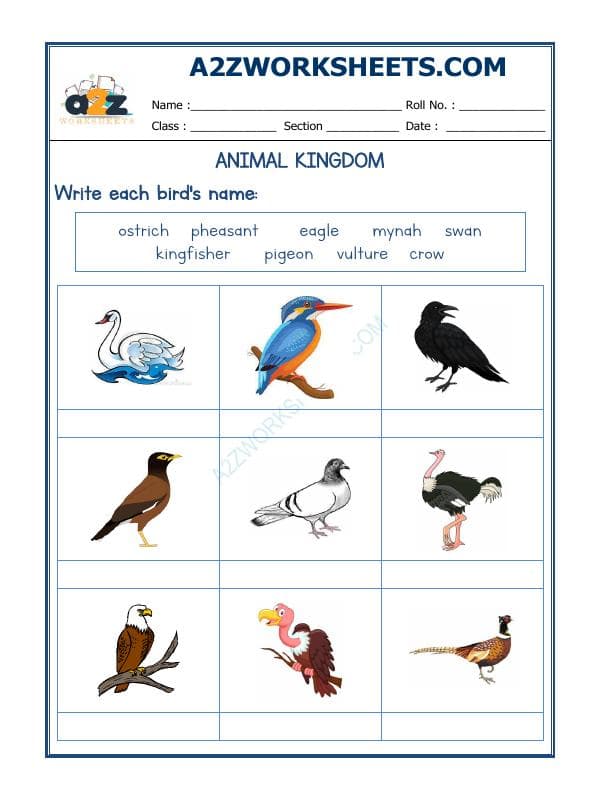 A2ZWorksheets:Science-Animals-Animals Kingdom-08