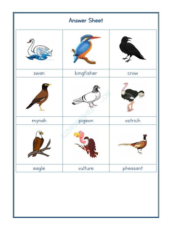 A2ZWorksheets:Science-Animals-Animals Kingdom-08