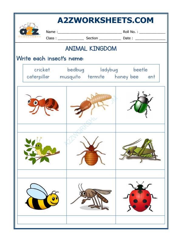 Animals Kingdom-10