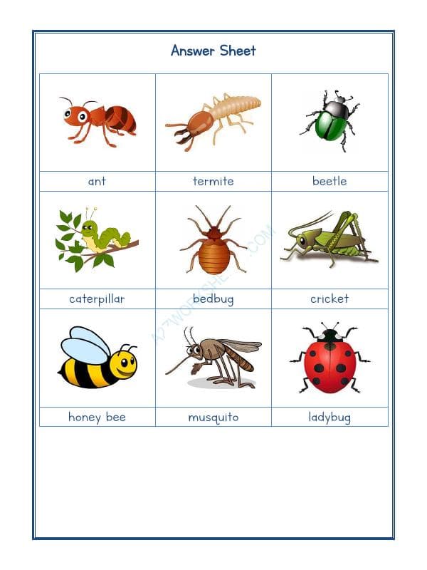 A2ZWorksheets:Science-Animals-Animals Kingdom-10