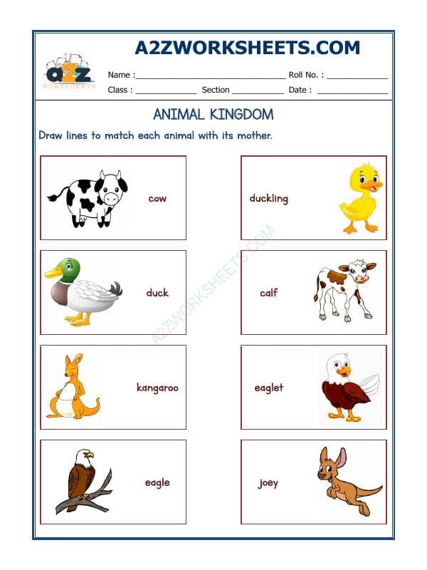 A2ZWorksheets:Science-Animals-Animals Kingdom-11