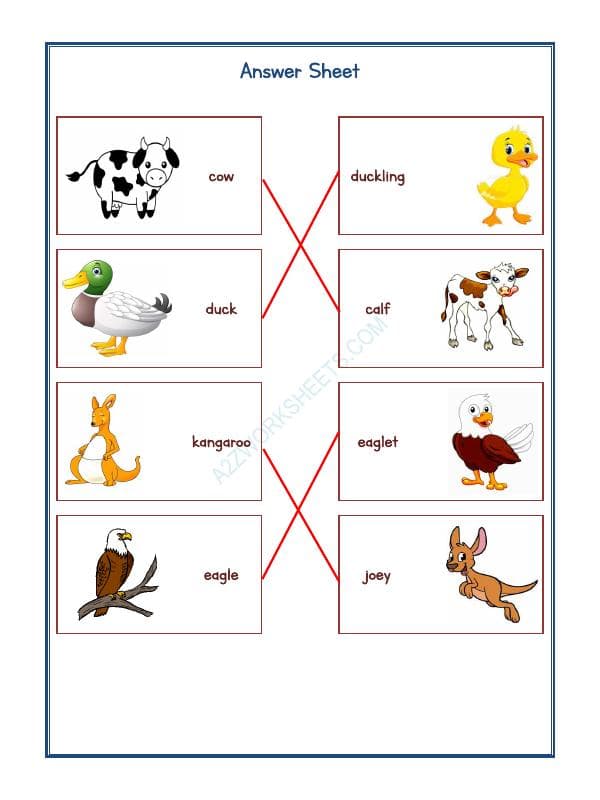 A2ZWorksheets:Science-Animals-Animals Kingdom-11