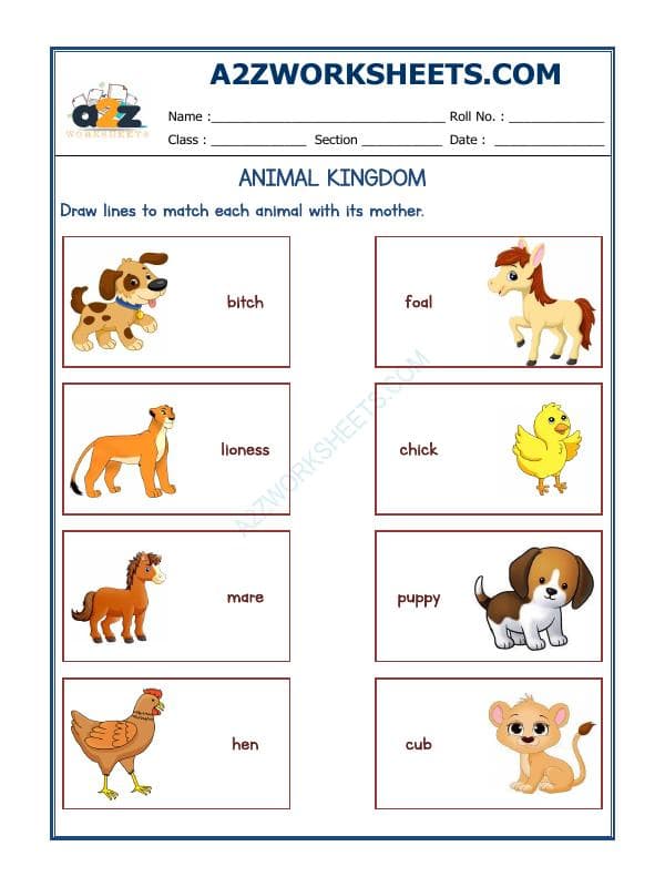 Animals Kingdom-12