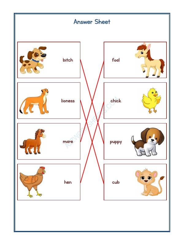 A2ZWorksheets:Science-Animals-Animals Kingdom-12