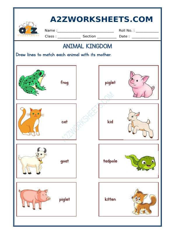 Animals Kingdom-13