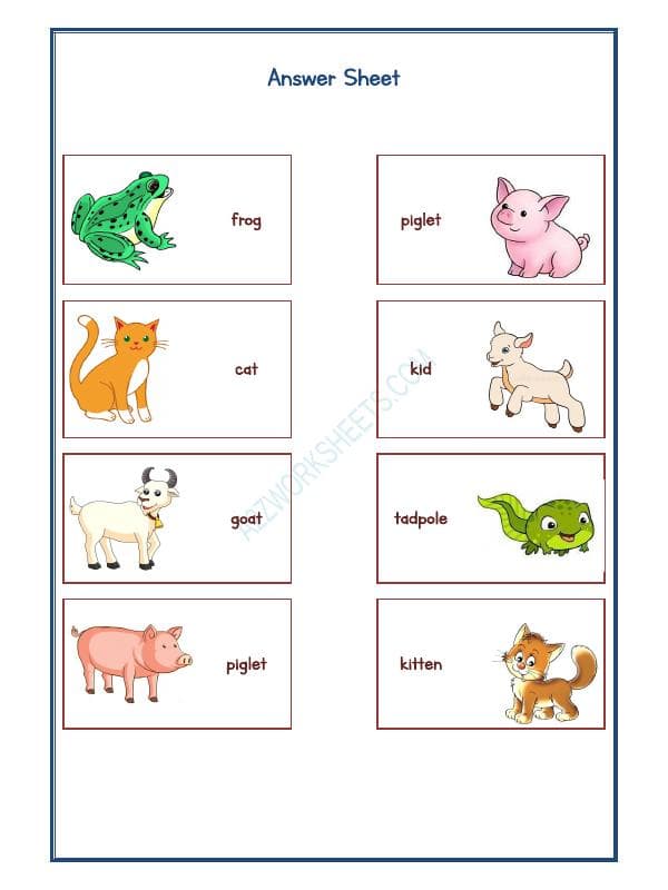 A2ZWorksheets:Science-Animals-Animals Kingdom-13