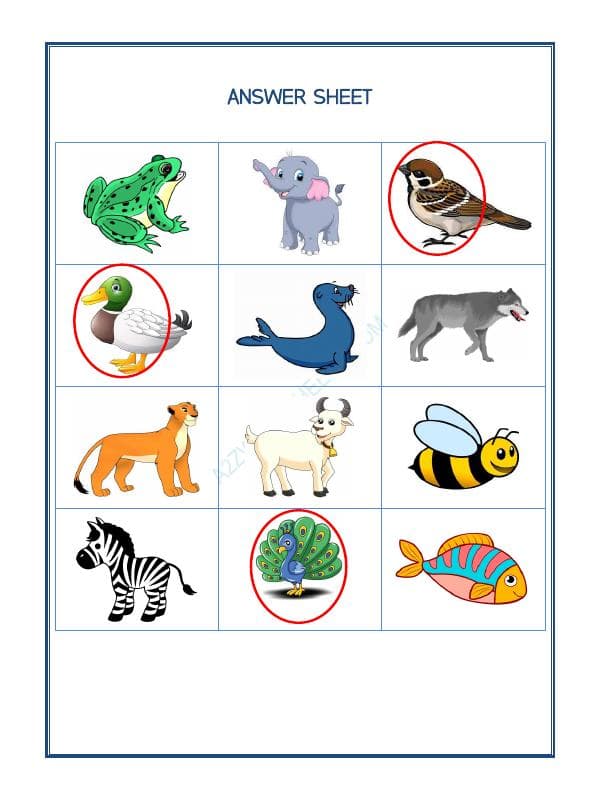 A2ZWorksheets:Science-Animals-Animal Classification-01