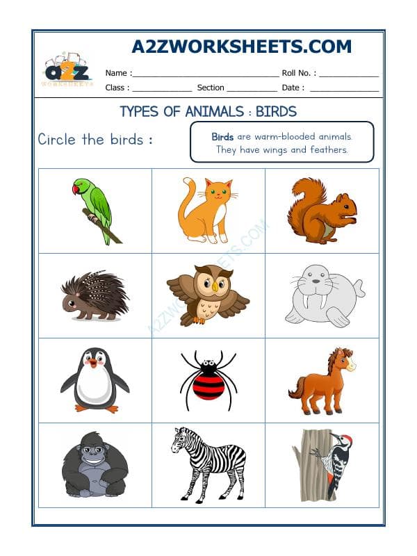 A2ZWorksheets:Science-Animals-Animal Classification-02
