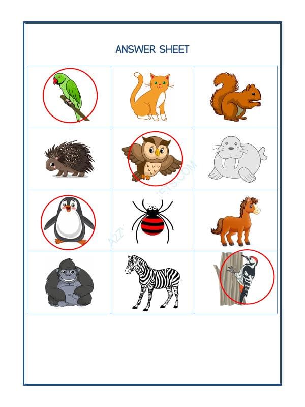 A2ZWorksheets:Science-Animals-Animal Classification-02