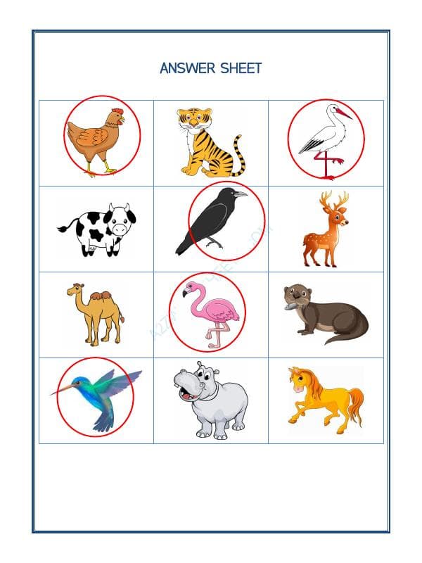 A2ZWorksheets:Science-Animals-Animal Classification-03