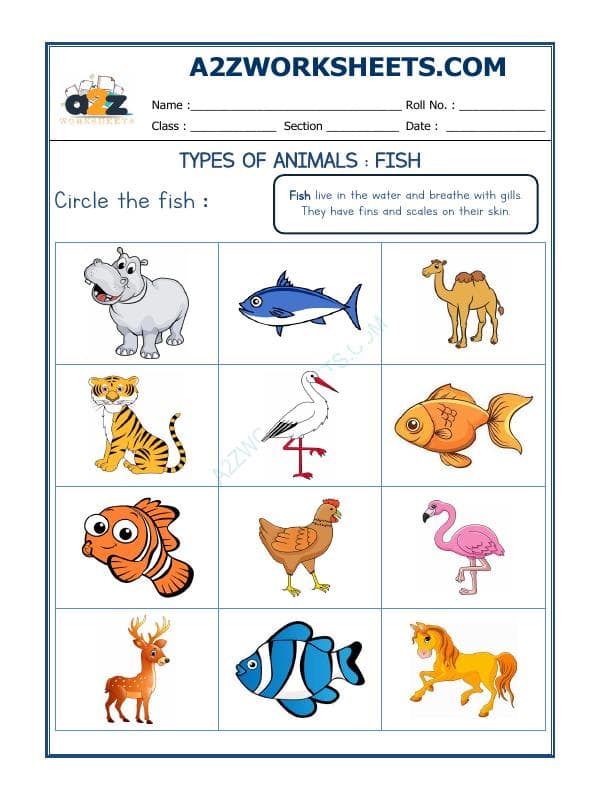 A2ZWorksheets:Science-Animals-Animal Classification-04
